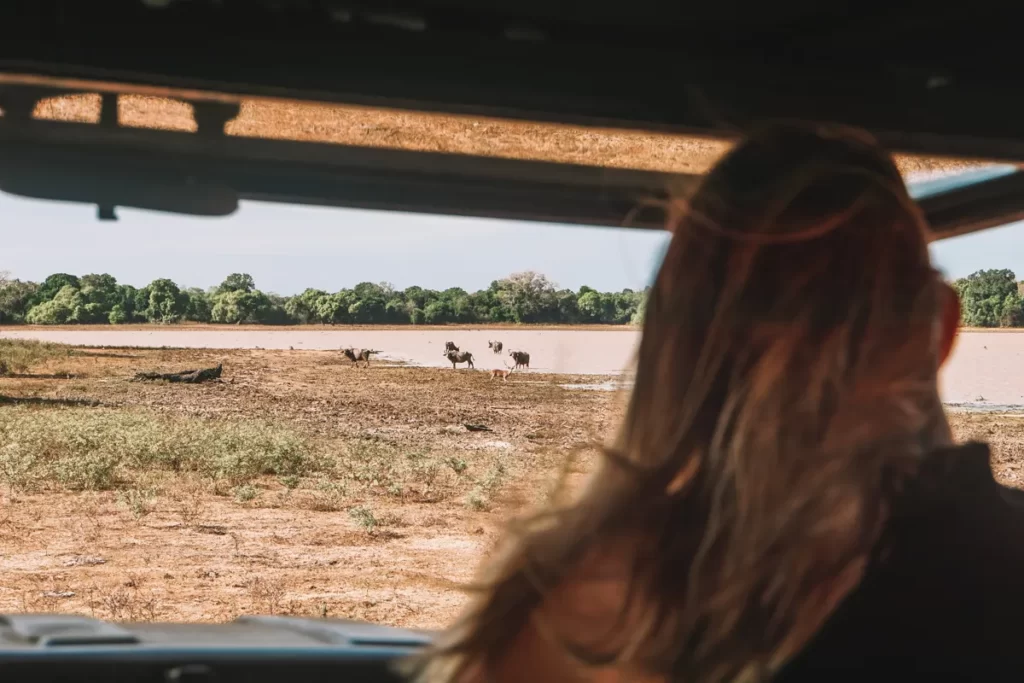 Women looking at dear and buffalo from a jeep in Kumana National Park