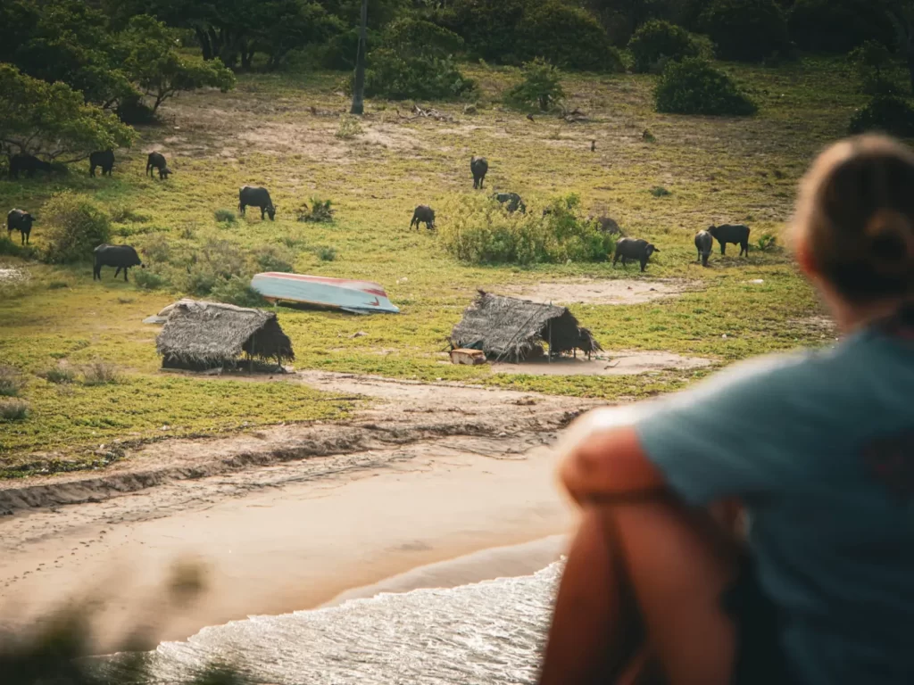 A girl looks at buffalo in the distance from the top of Elephant Rock