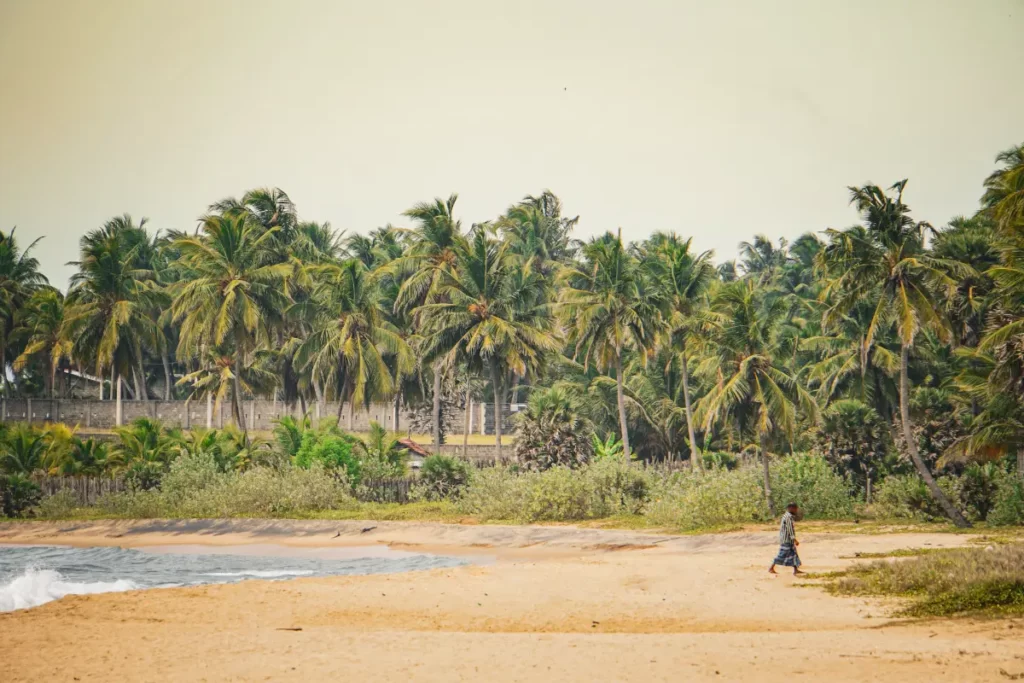 A local man walking on the beach in Arugam Bay with palm trees in the background