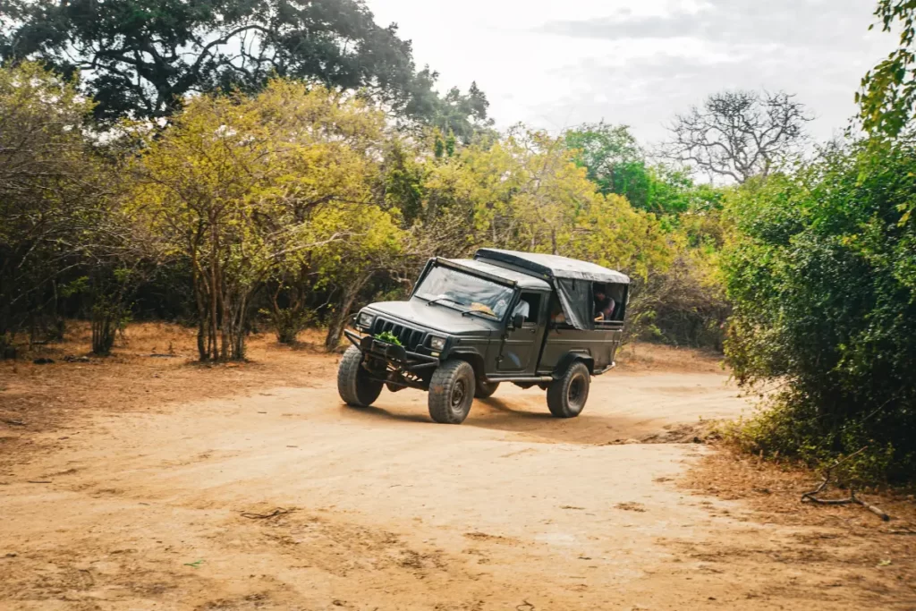A jeep driving on dirt roads in Kumana National Park