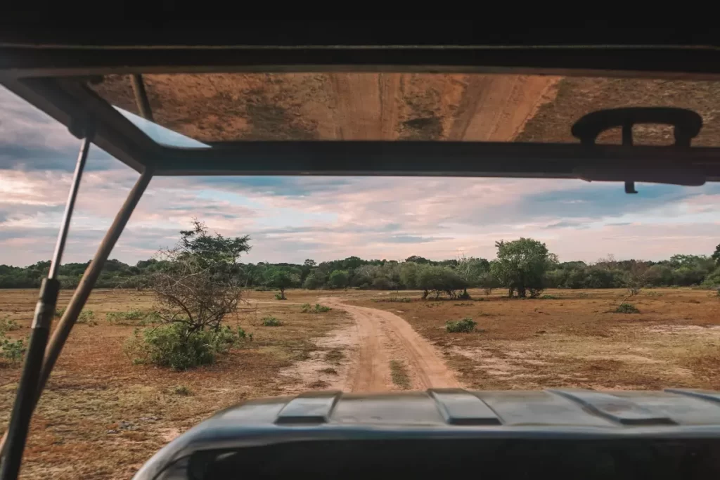 The view from inside a safari jeep at Kumana National Park