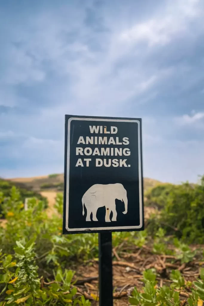 A sign with an outline of an elephant saying "wild animals roaming at dusk" near Arugam Bay