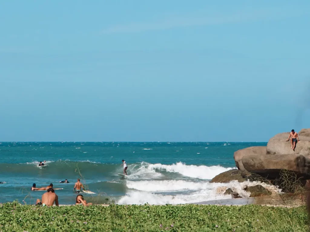 Peanut Farm Beach beginner surf break