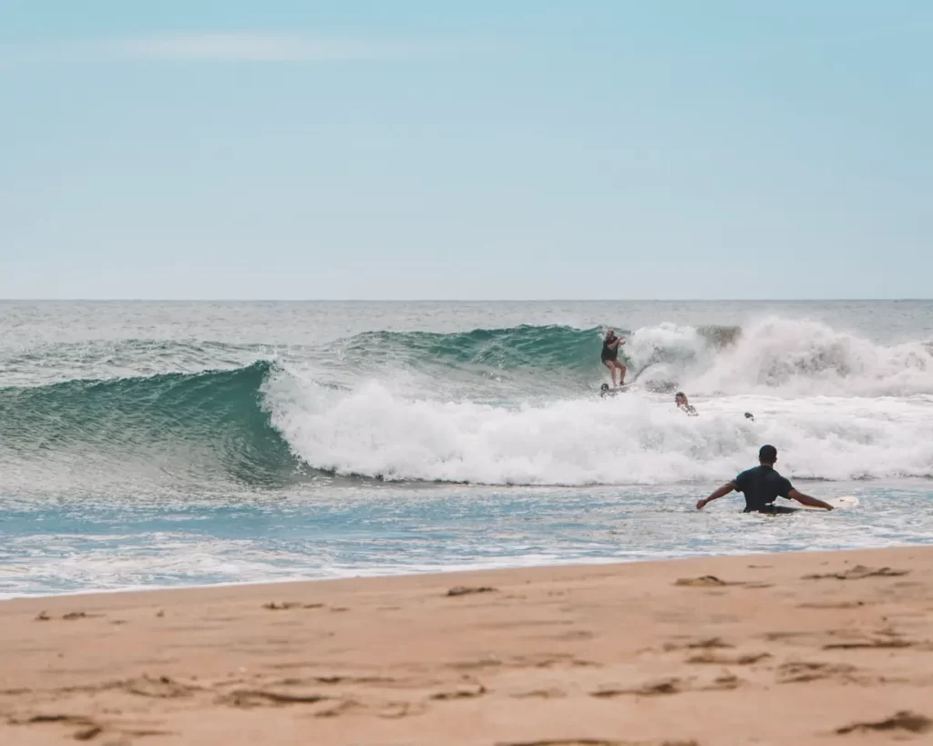 A surfer drops into a steep takeoff at Peanut Farm Point Break