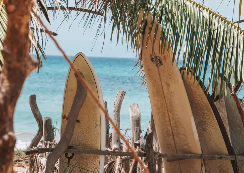 Surfboards on a rack for rent at Lighthouse Beach