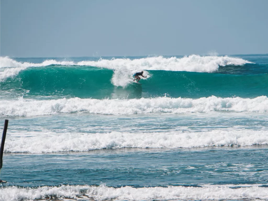 Surfer going left at Animals in Ahangama