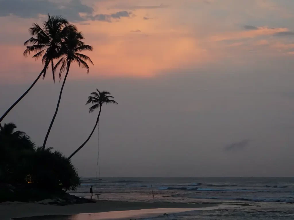 A man standing next to a rope swing at sunset on Ahangama Beach