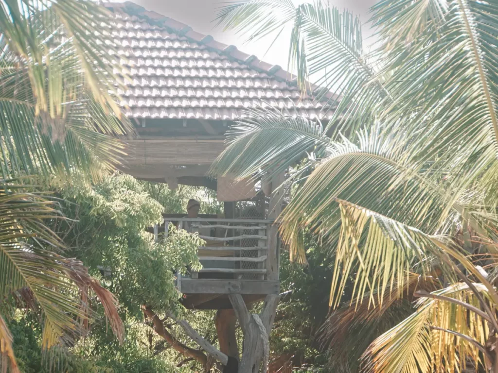 A women sitting in an open Cabana between the palm trees at Hilltop Cabanas