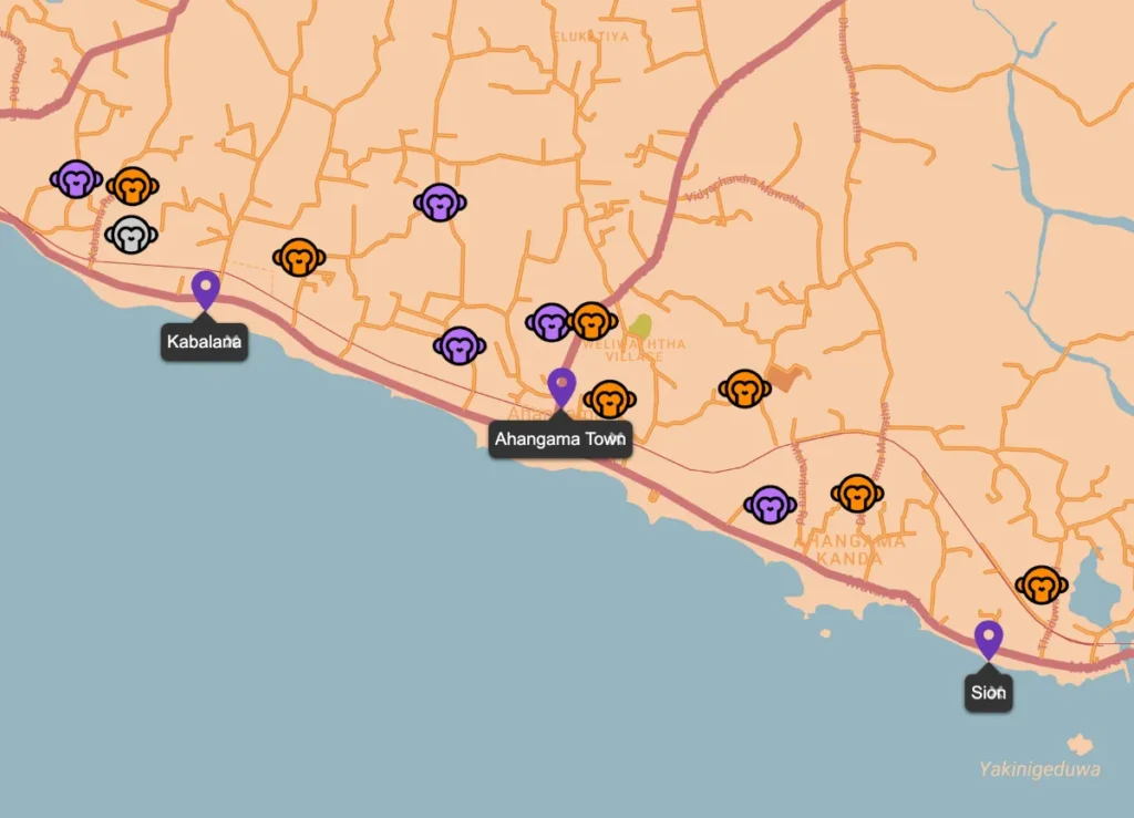 A map of where to find monkeys in Ahangama