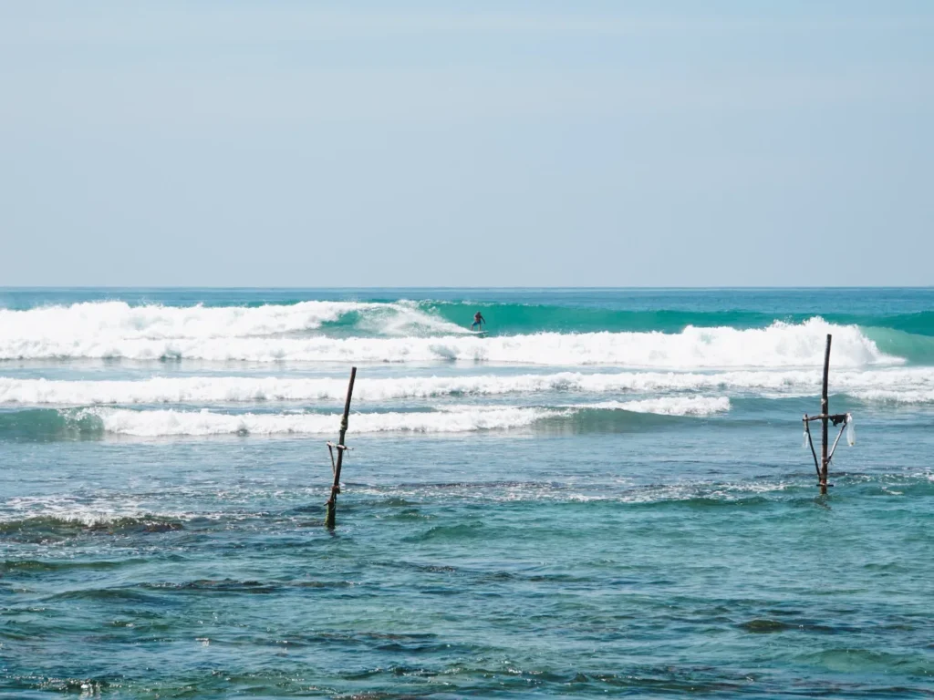 The shallow reef with a surfer on a wave in the background at Animals Surf Spot
