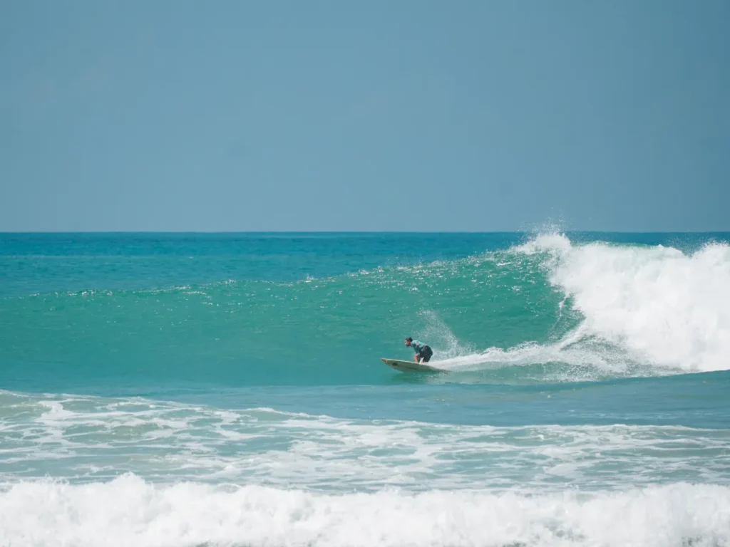 A surfer riding a big wave at Animals Surf Spot, Ahangama