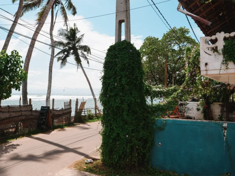 The views of the ocean from Just Another Guesthouse, a great budget beachfront option