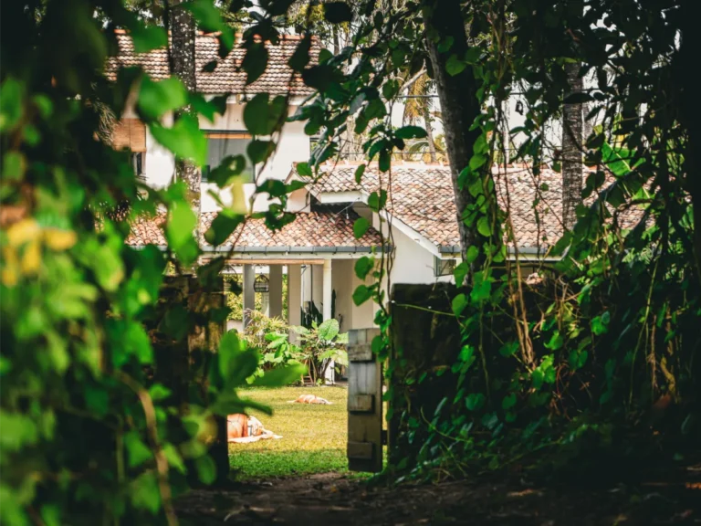 The garden path to the ocean from Surf Lodge