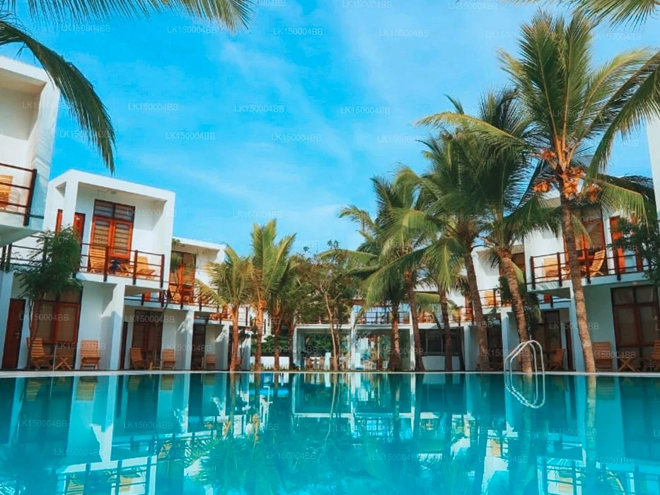 The pool at Roccos, a top beachfront hotel in Arugam Bay