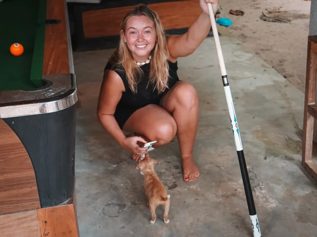 Beach House Hiri - new puppies and good drinks